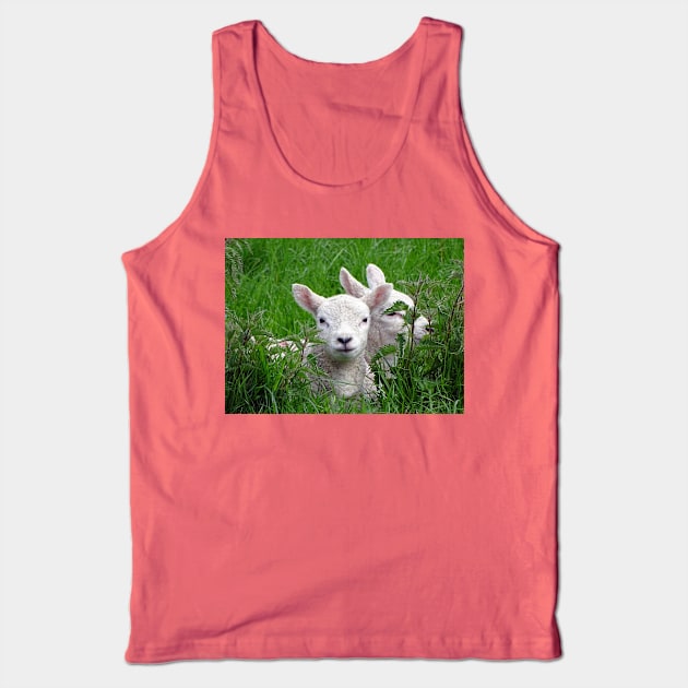 The Nettle Nestlers Tank Top by AH64D